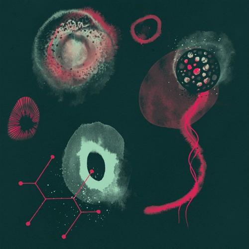 Polypores - Impossibility - Lp