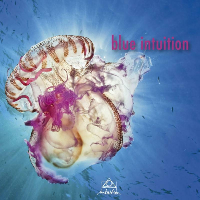 Various Artists - Blue Intuition - Cd