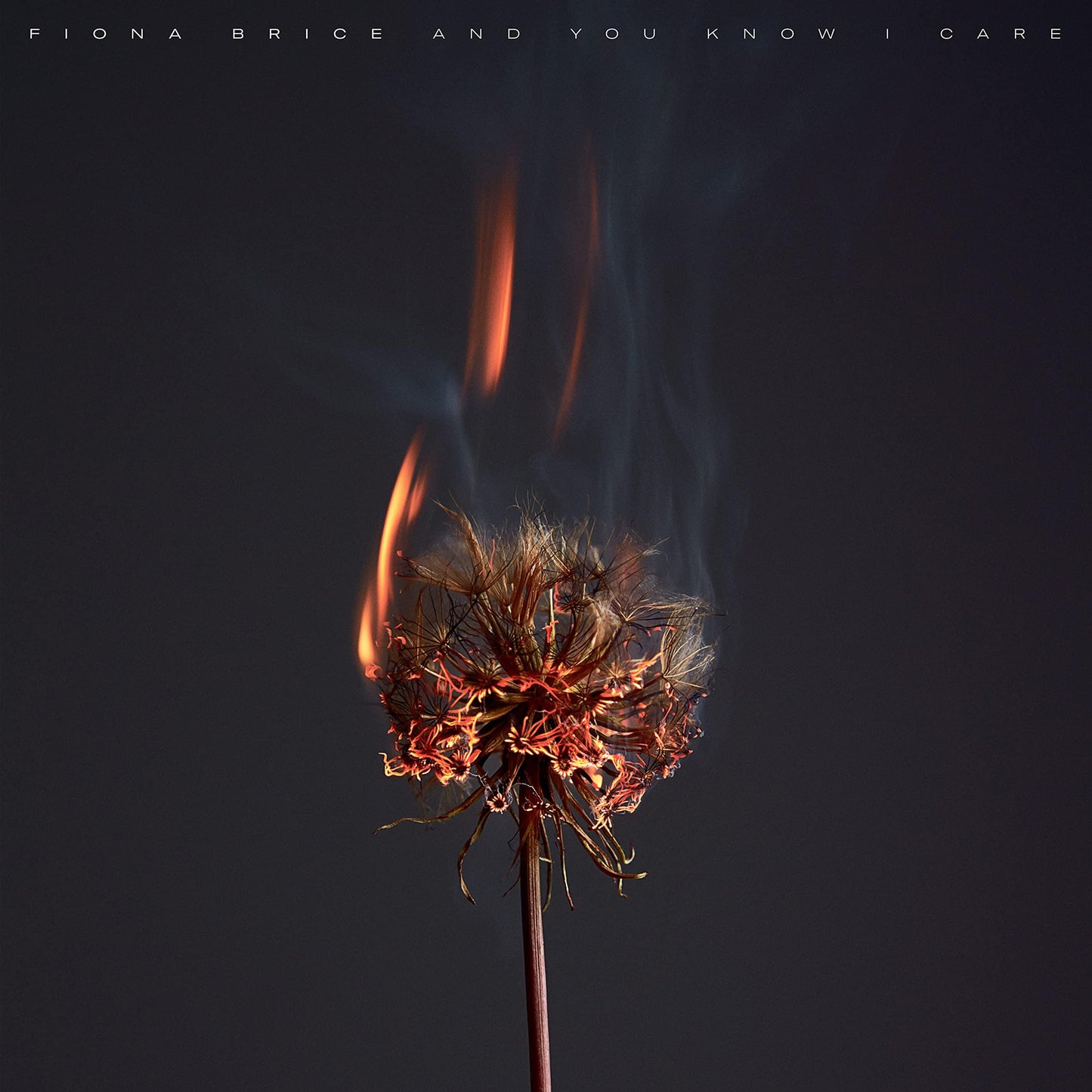 Fiona Brice - And You Know I Care - Lp