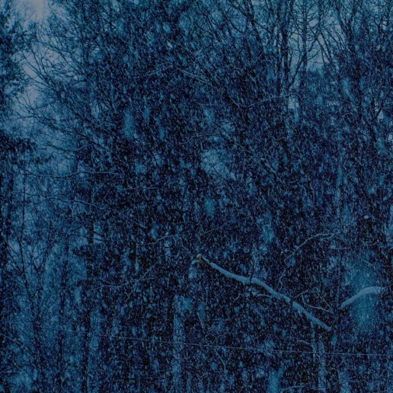 Jesu - Never EP - Lp