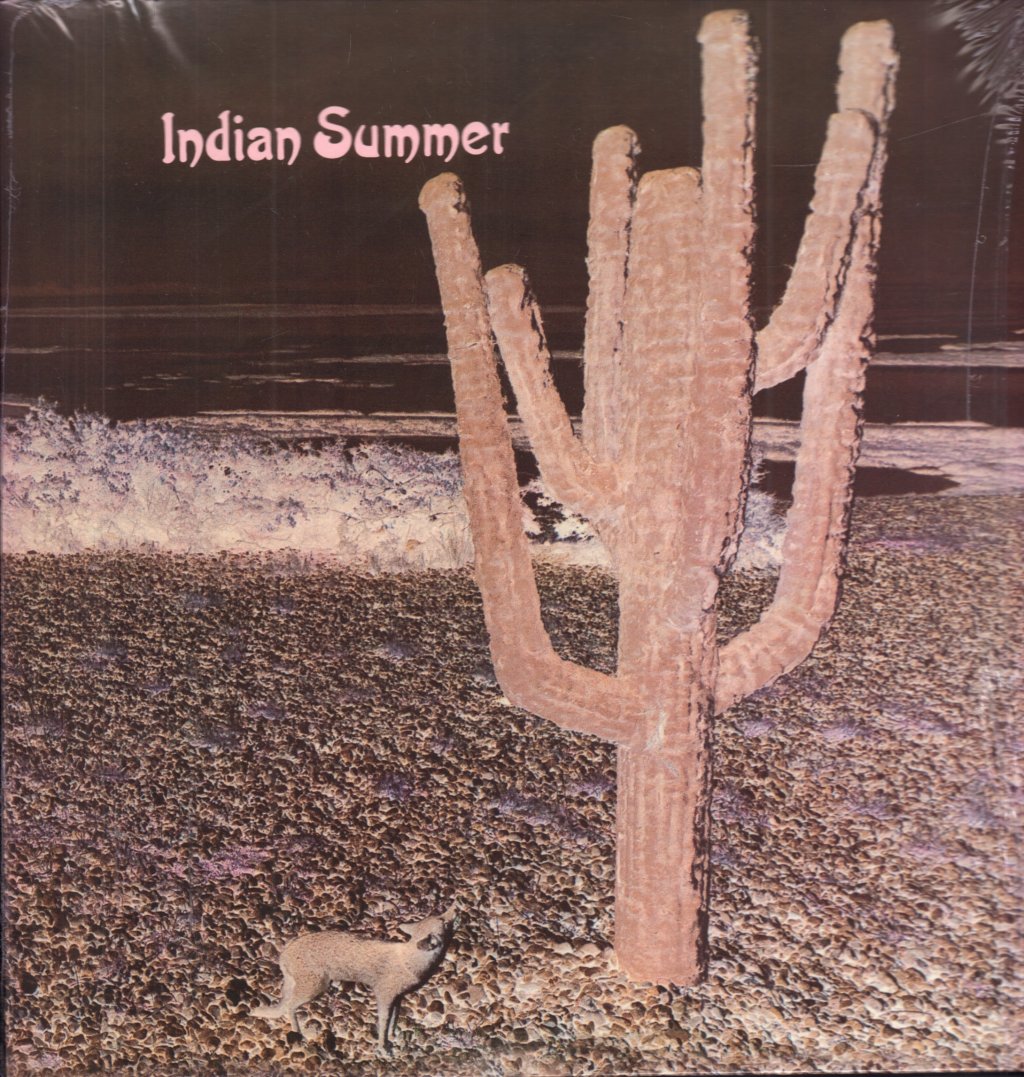 Indian Summer (Rock/Prog Group) - Indian Summer - Lp