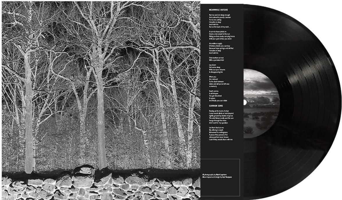 Pile - Sunshine and Balance Beams - Lp