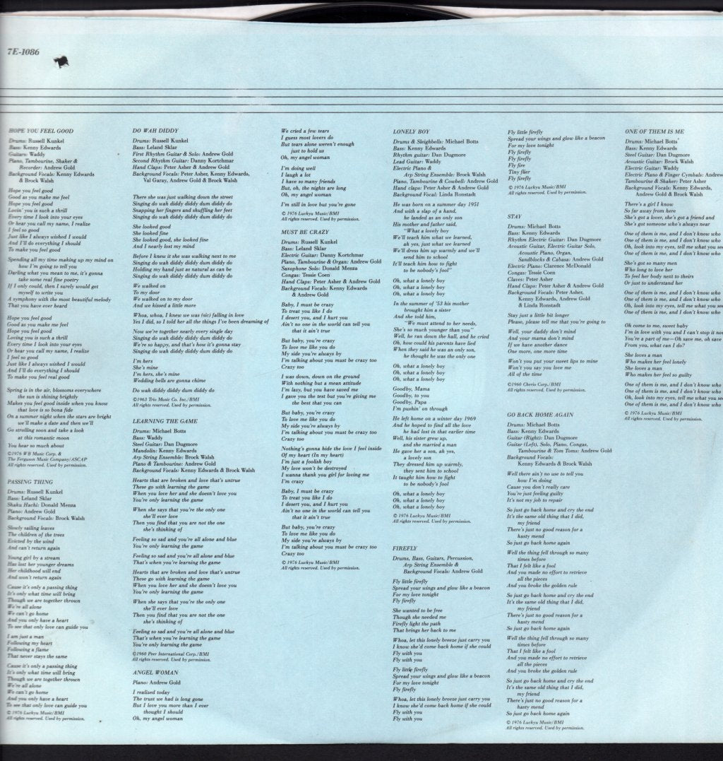 Andrew Gold - What's Wrong With This Picture - Lp