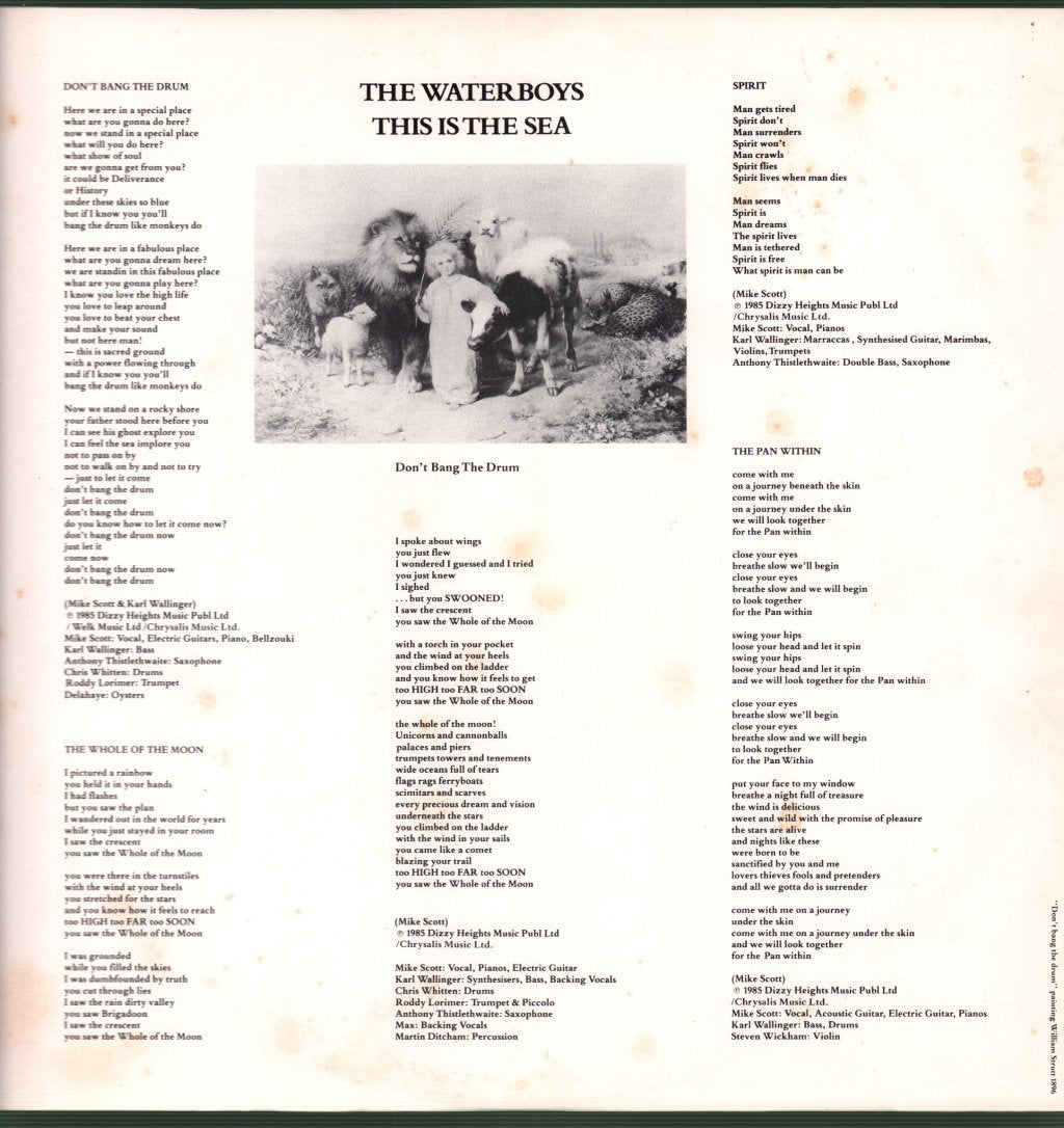 Waterboys - This Is The Sea - Lp