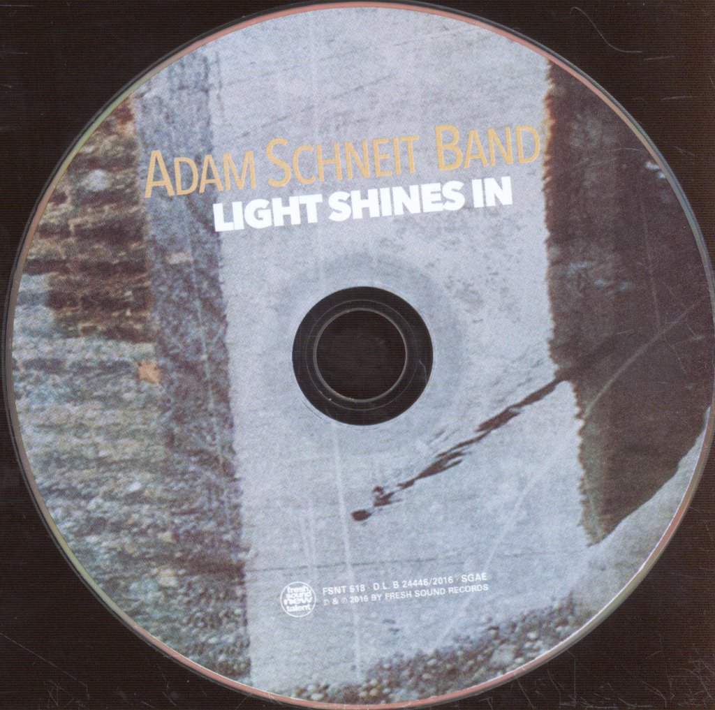 Adam Schneit Band - Light Shines In - Cd