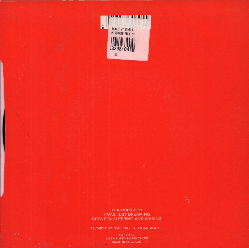 Orchids (Indie Group) - Thaumaturgy - 7 Inch