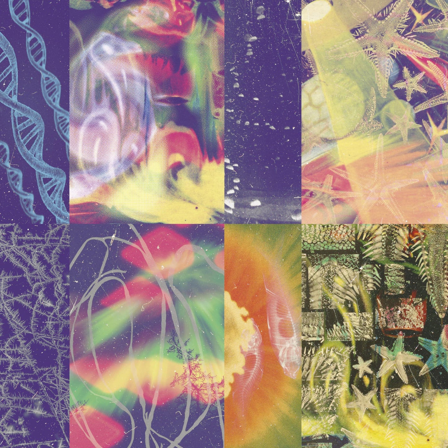 Nap Eyes - Neon Gate - Lp
