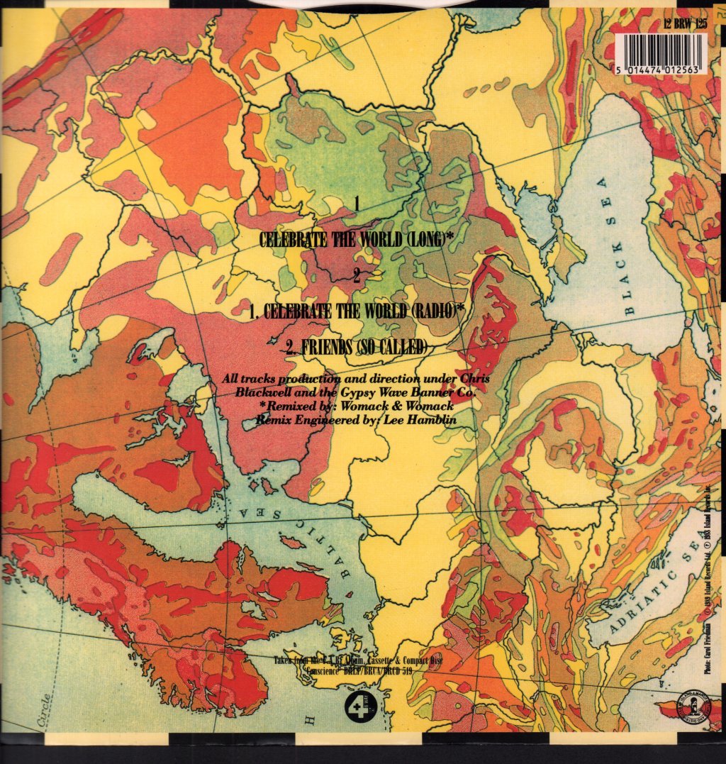 Womack And Womack - Celebrate The World - 12 Inch