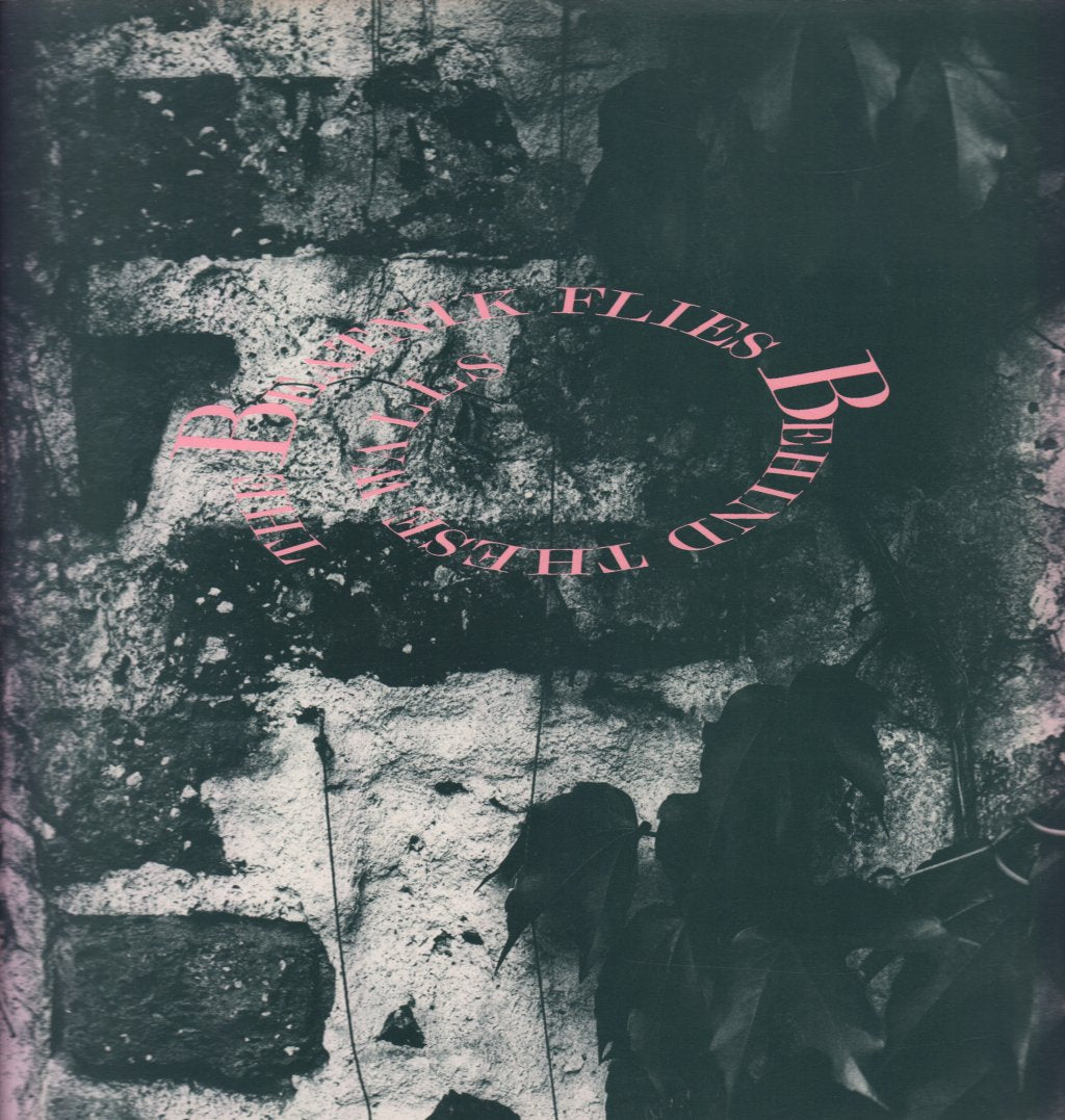 Beatnik Flies - Behind These Walls - Lp