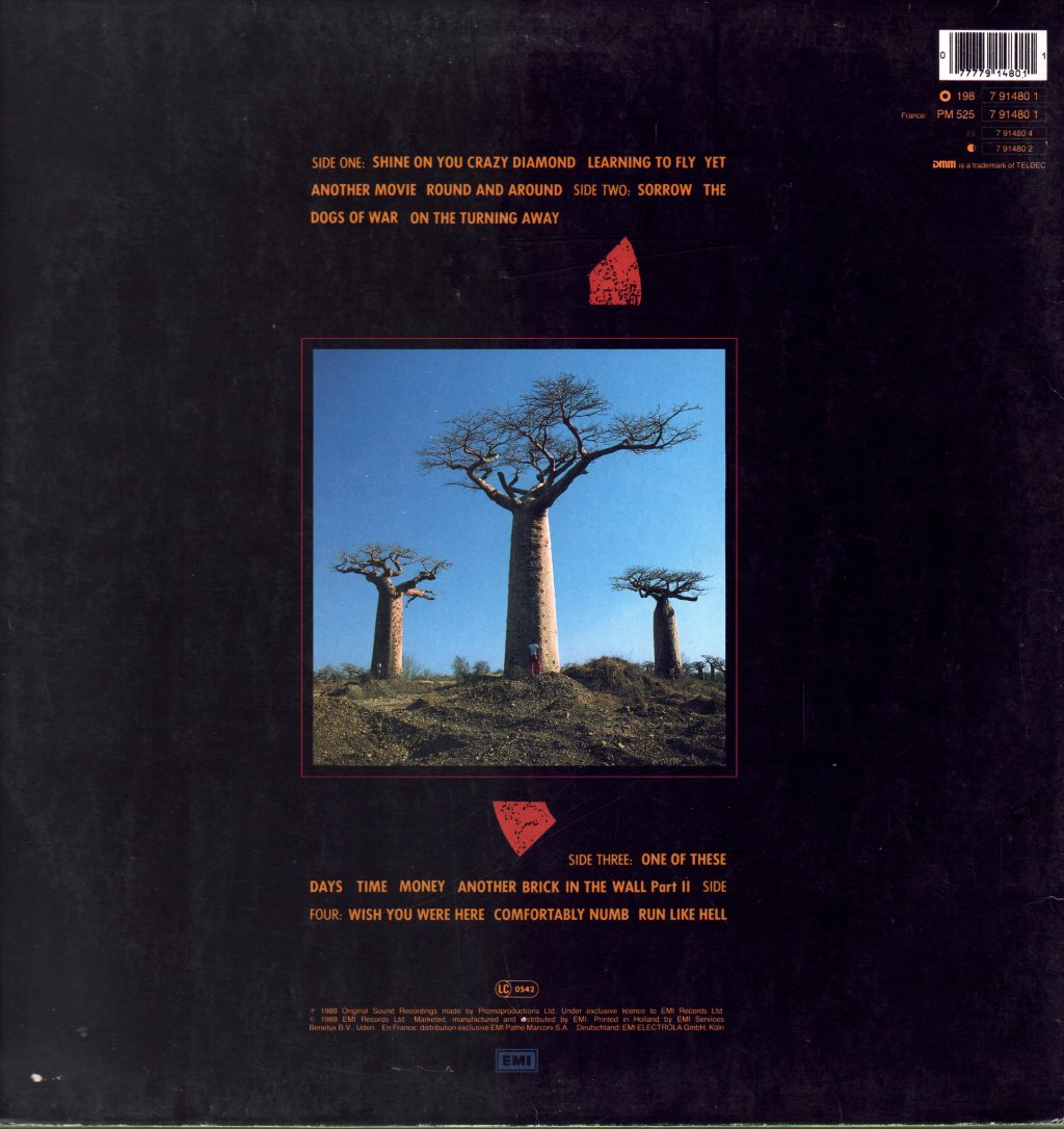 Pink Floyd - Delicate Sound Of Thunder - Lp