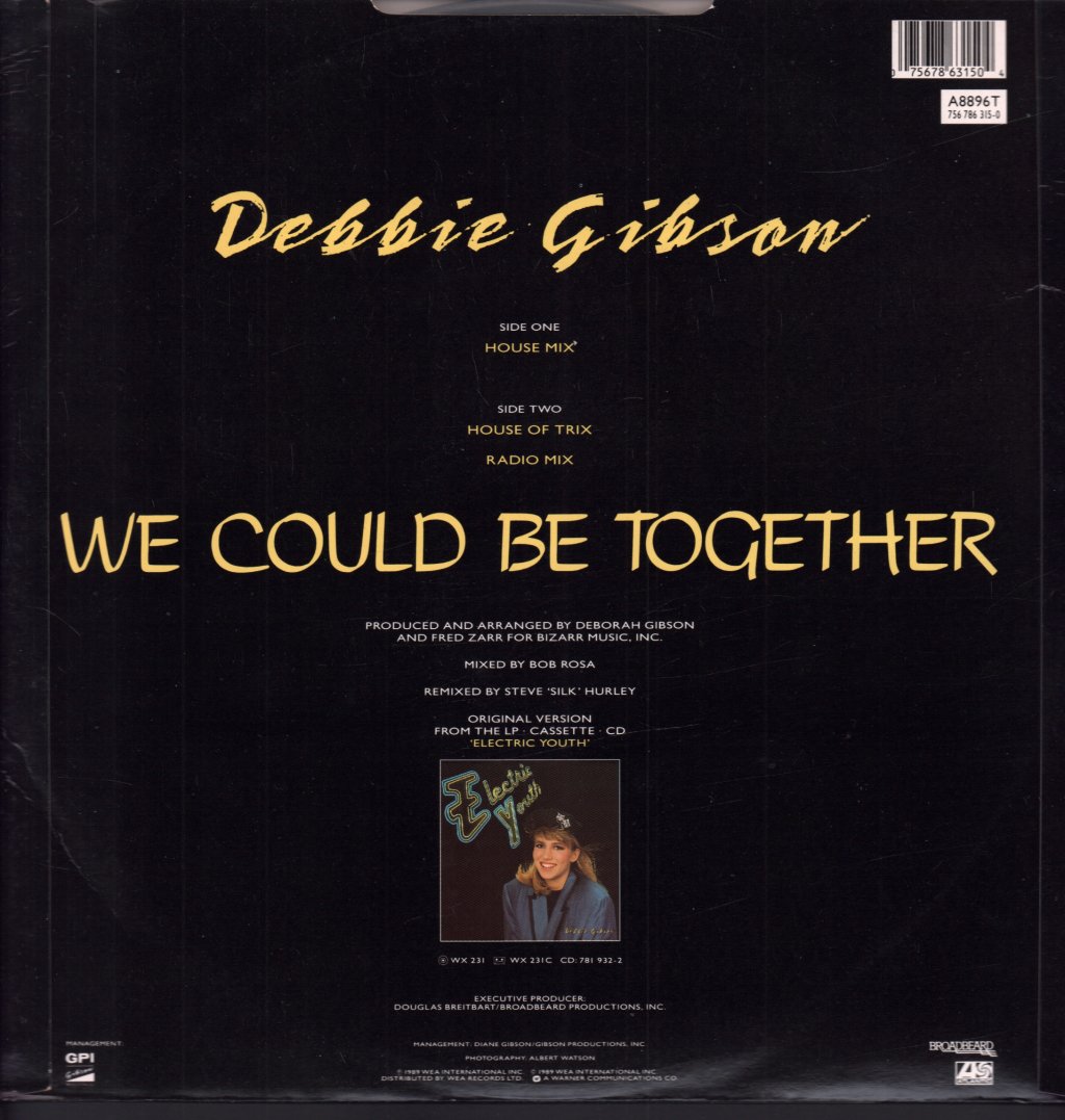 Debbie Gibson - We Could Be Together - 12 Inch
