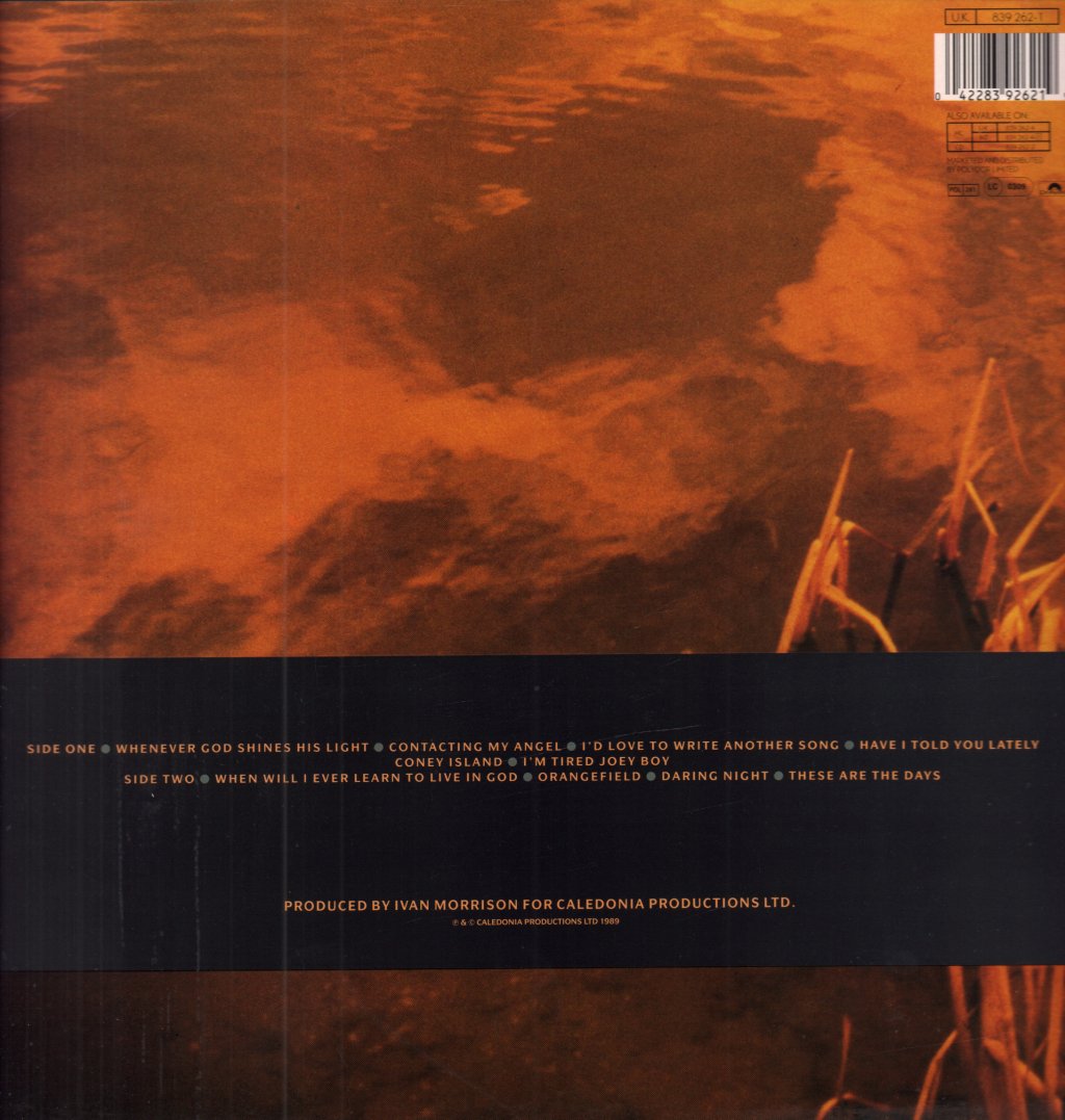 Van Morrison - Avalon Sunset - Lp