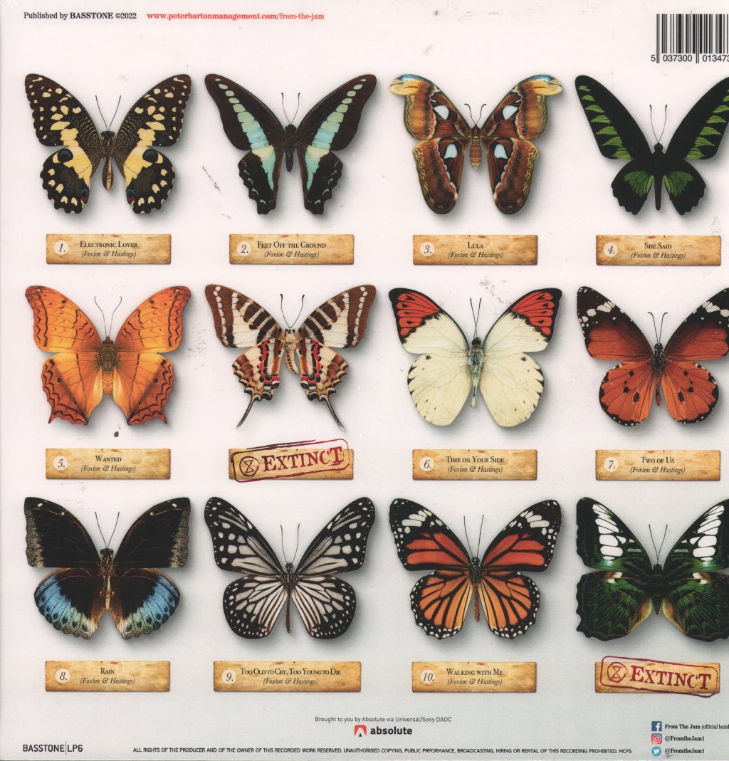 Bruce Foxton And Russell Hastings - Butterfly Effect - Lp