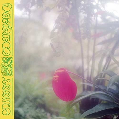 Jabu - Sweet Company - Cd