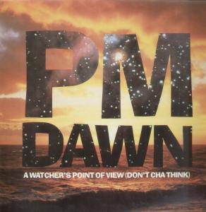 Pm Dawn - A Watcher's Point Of View - 12 Inch