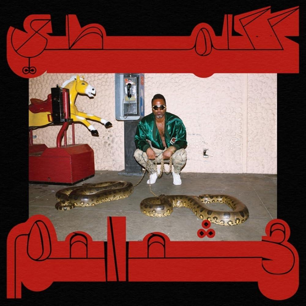 Shabazz Palaces - Robed In Rareness - Cd