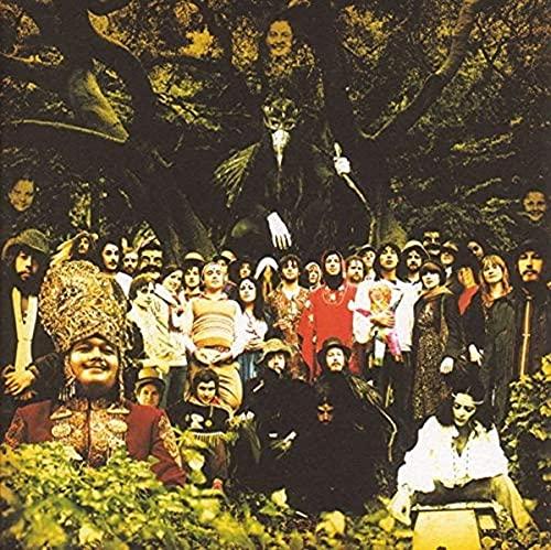 Devendra Banhart - Cripple Crow - Double Lp