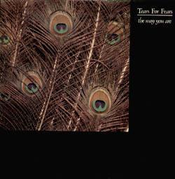 Tears For Fears - Way You Are - 12 Inch