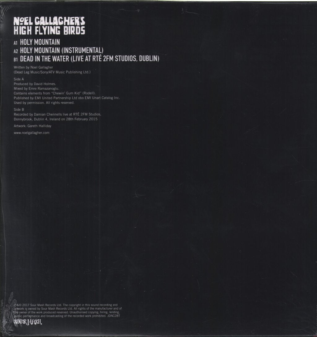 Noel Gallagher's High Flying Birds - Holy Mountain - 12 Inch