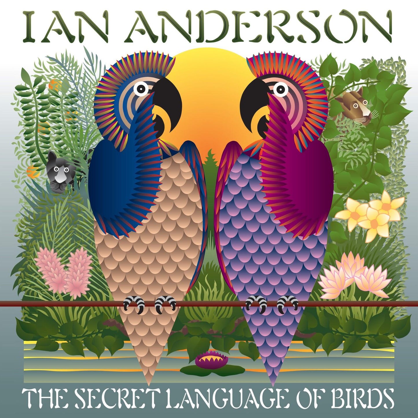 Ian Anderson - Secret Language of Birds - Double Lp