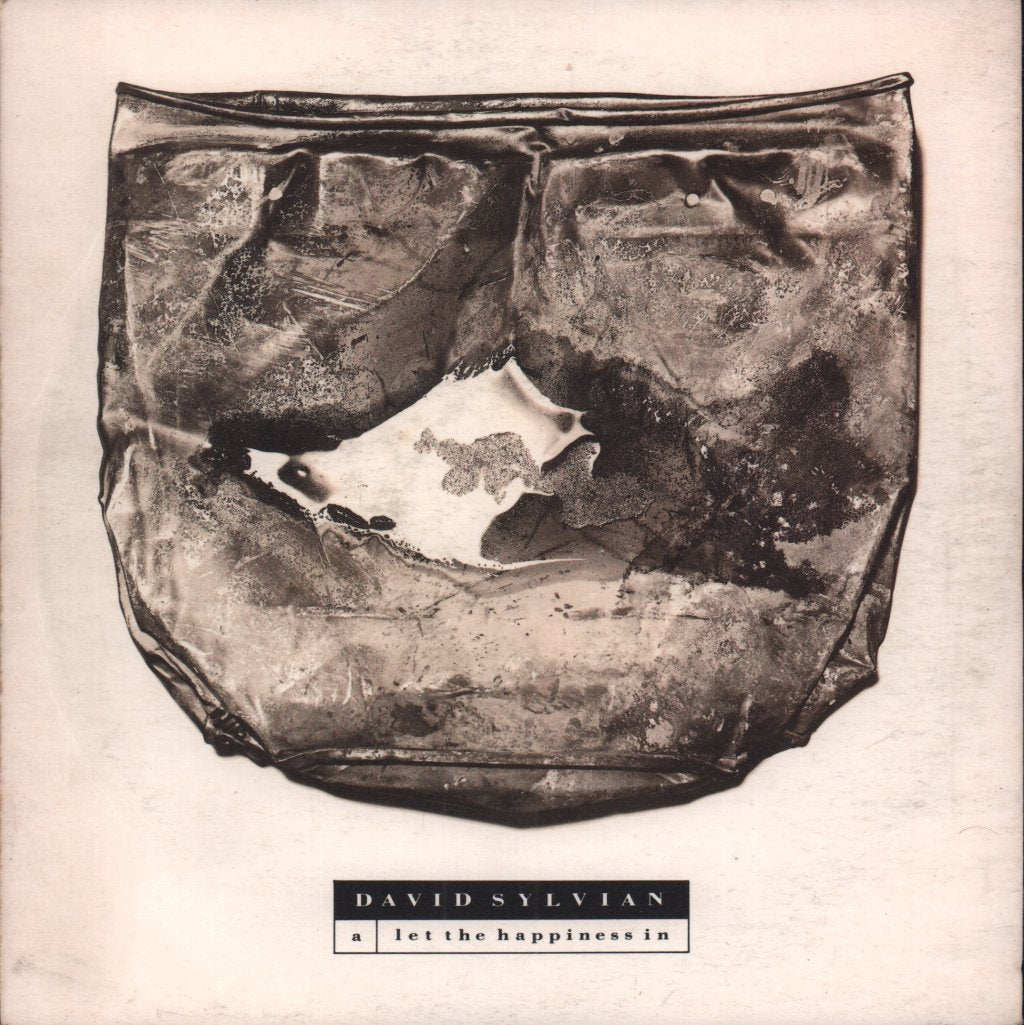 David Sylvian - Let The Happiness In - 7 Inch