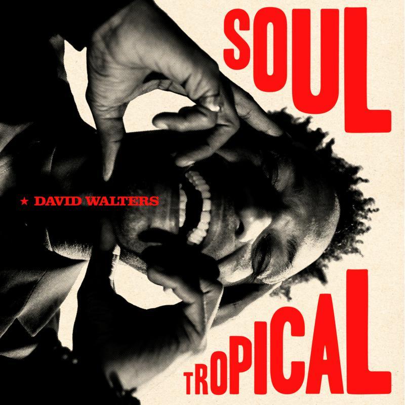 David Walters - Soul Tropical - Cd
