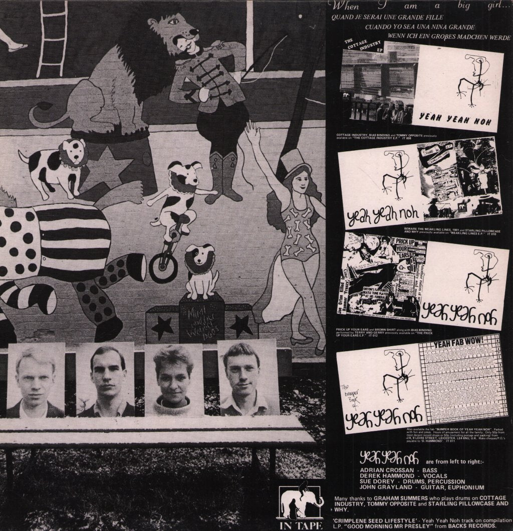 Yeah Yeah Noh - When I Am A Big Girl - 12 Inch