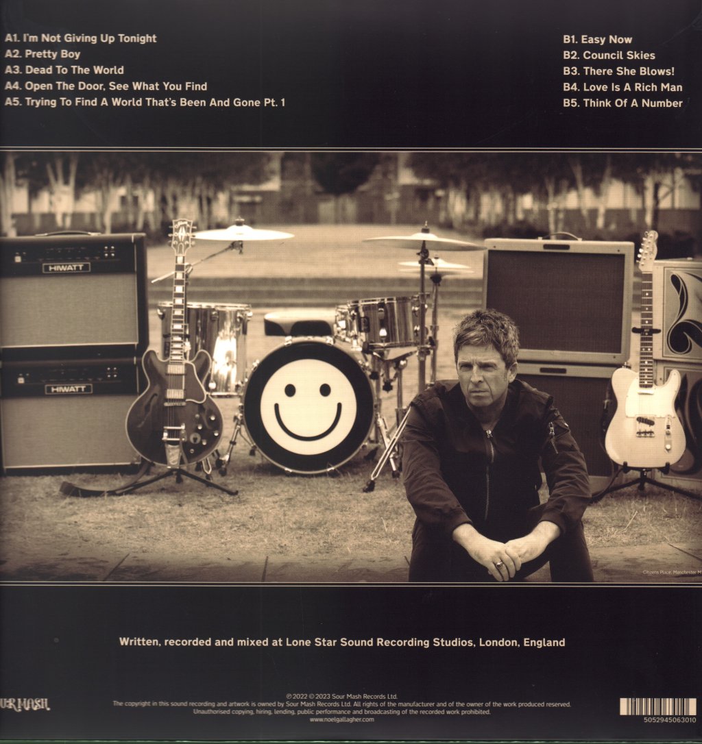 Noel Gallagher's High Flying Birds - Council Skies - Lp