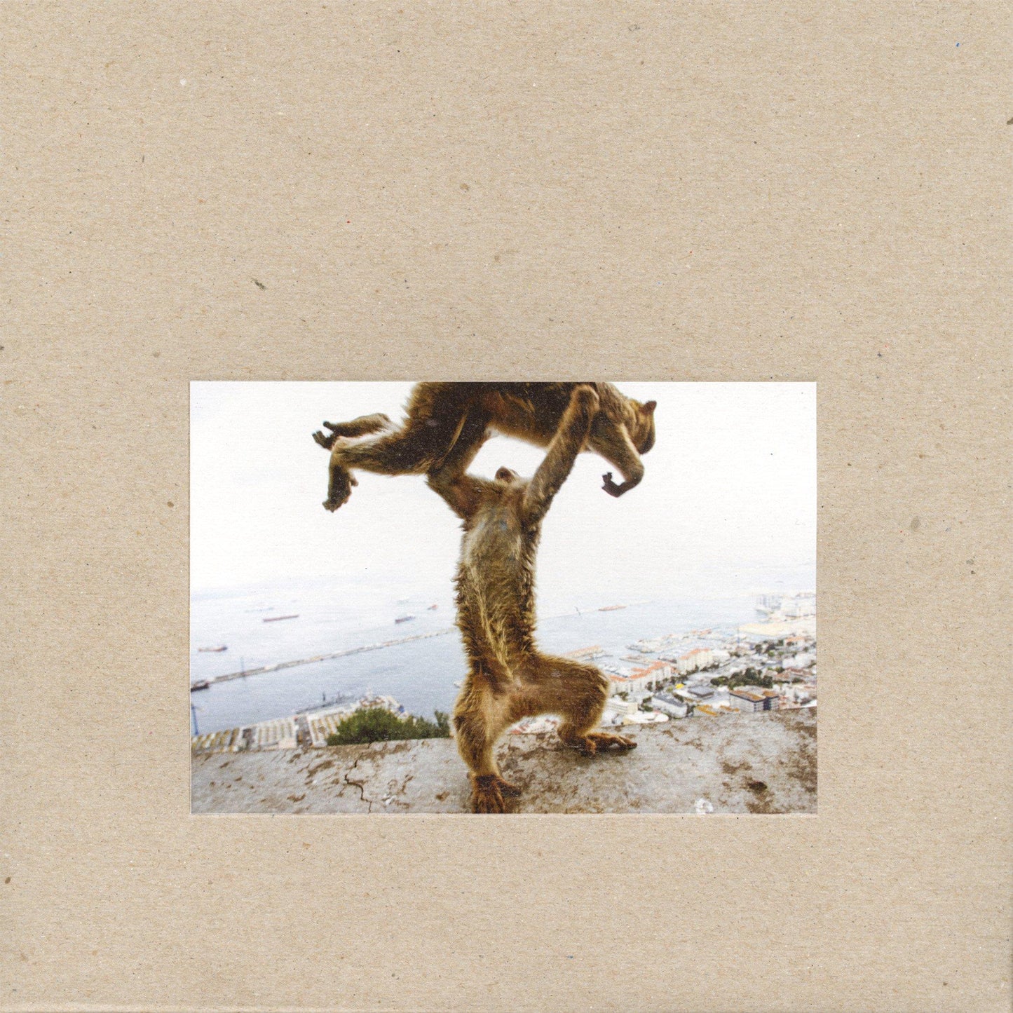 Shellac - Dude Incredible - Lp