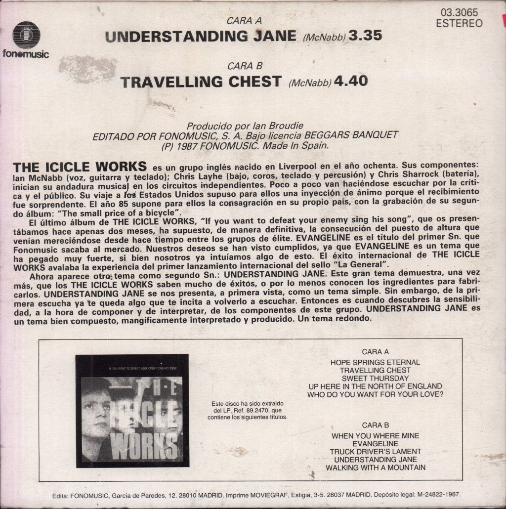 Icicle Works - Understanding Jane - 7 Inch