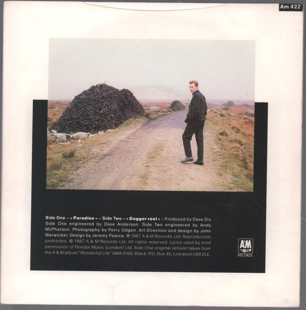 Black - Paradise - 7 Inch