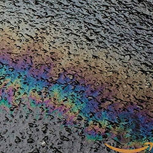 Laurel Halo - In Situ - Cd