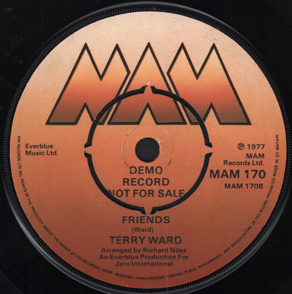 Terry Ward - Night We Said Goodbye - 7 Inch