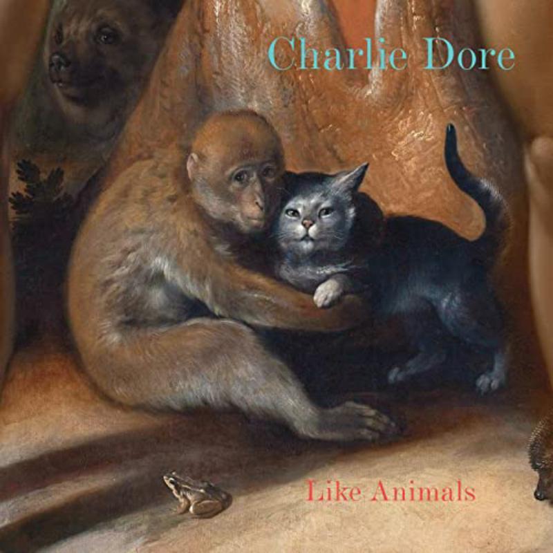 Charlie Dore - Like Animals - Cd