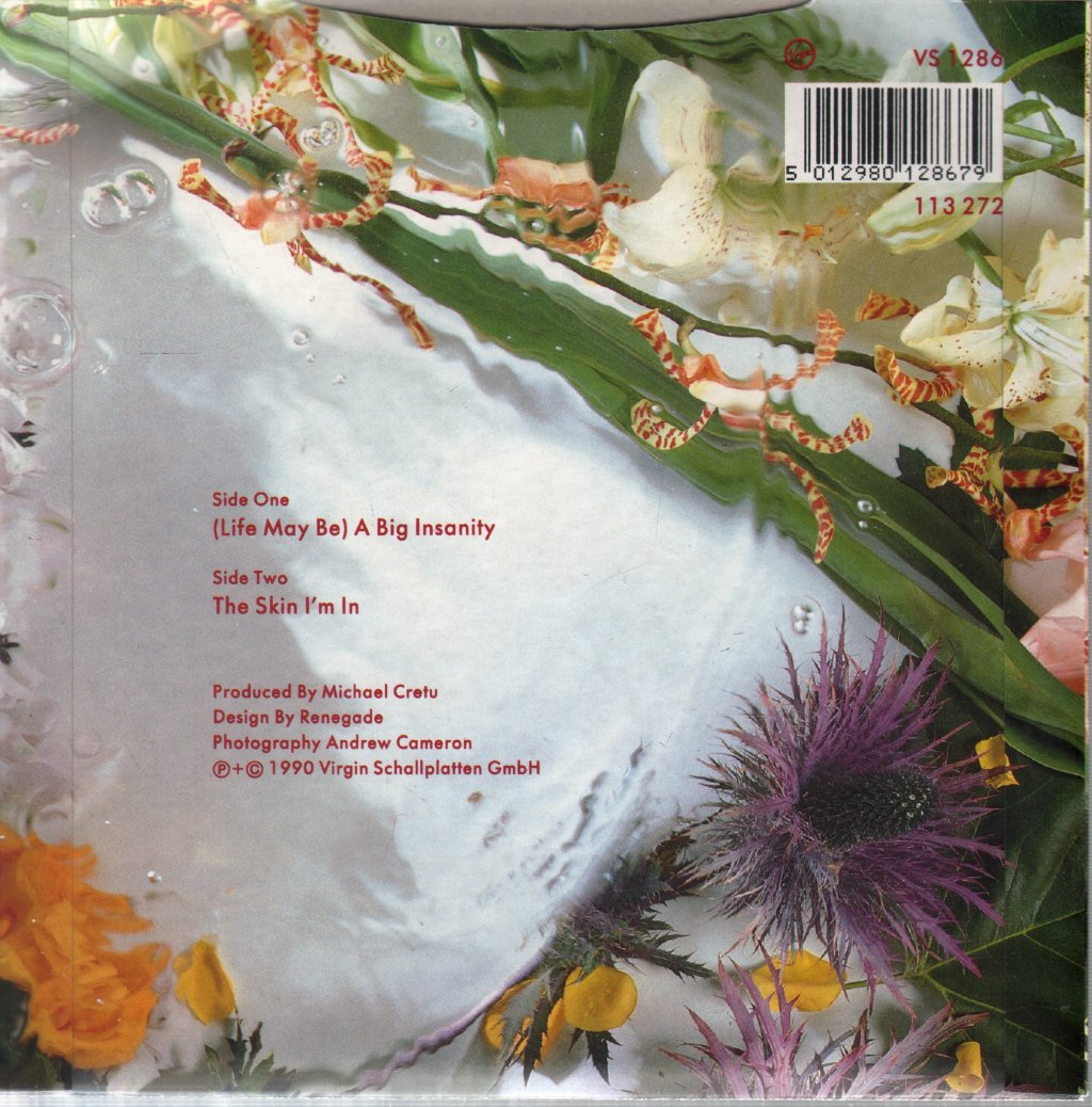 Sandra - (Life May Be) A Big Insanity - 7 Inch