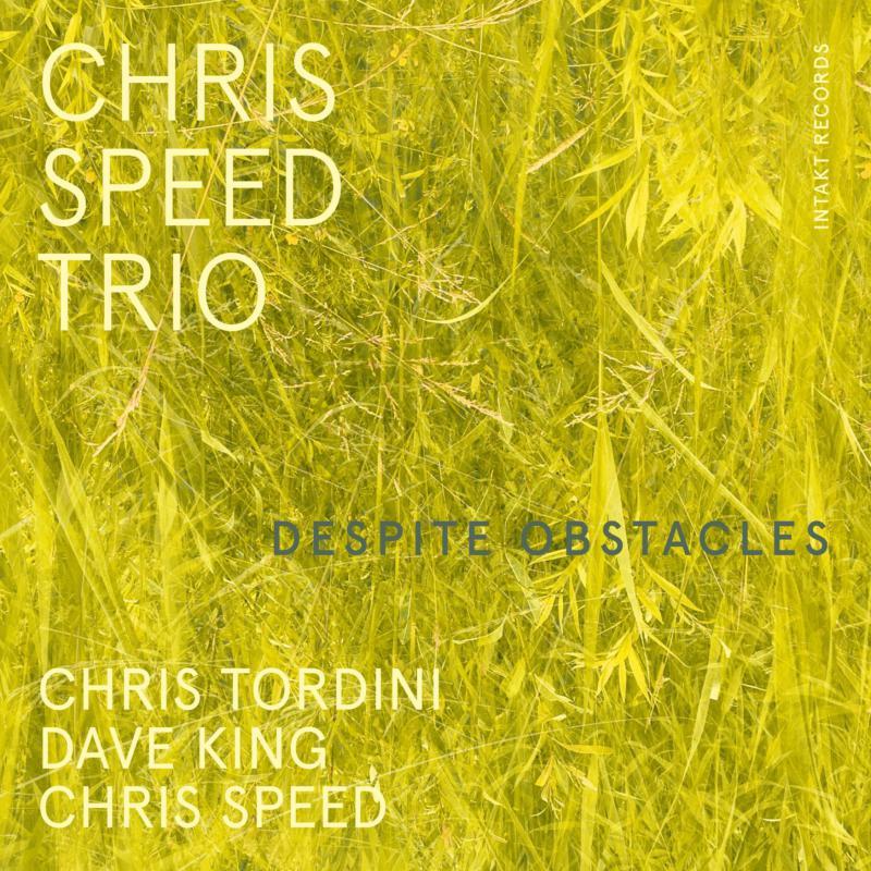 Chris Speed Trio - Despite Obstacles - Cd