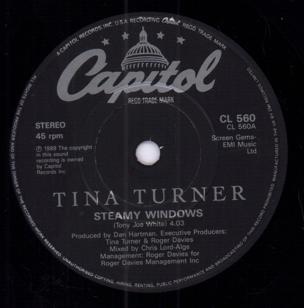 Tina Turner - Steamy Windows - 7 Inch