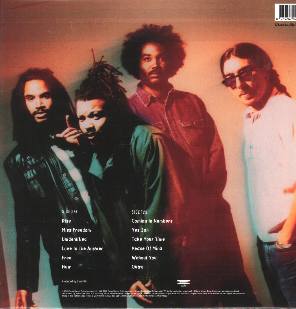 Bad Brains - Rise - Lp