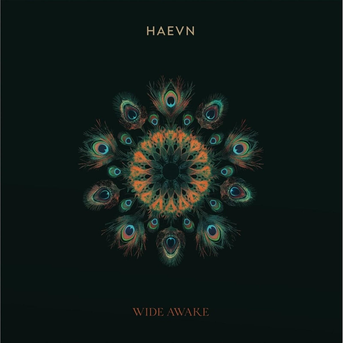 Haevn - Wide Awake - Lp