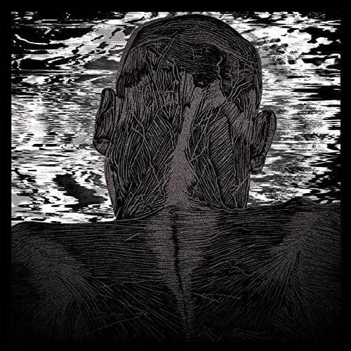 Asher Levitas - Lit Harness - Lp