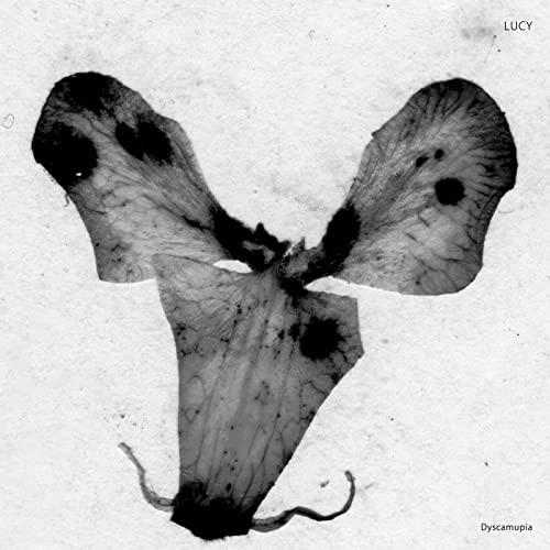Lucy (70'S Punk Group) - Dyscamupia - 12 Inch