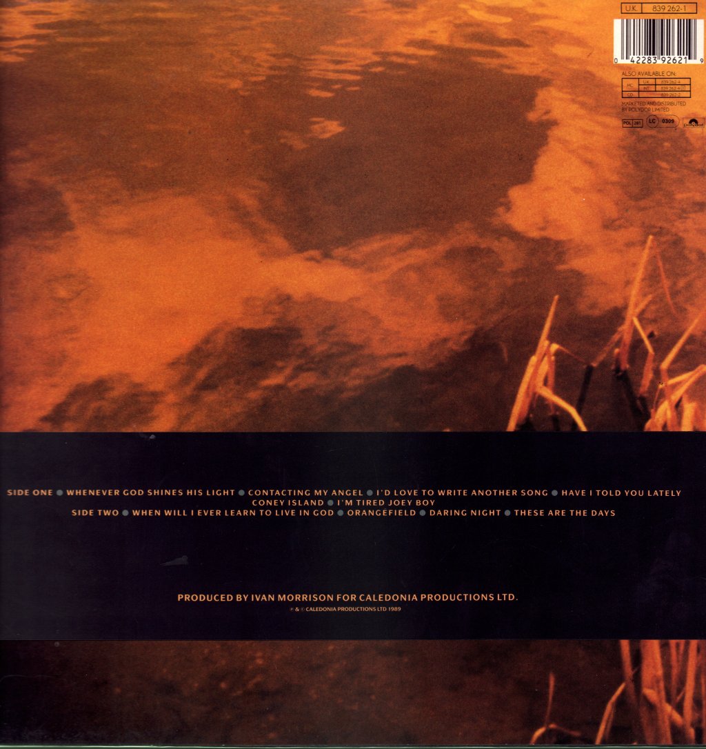 Van Morrison - Avalon Sunset - Lp