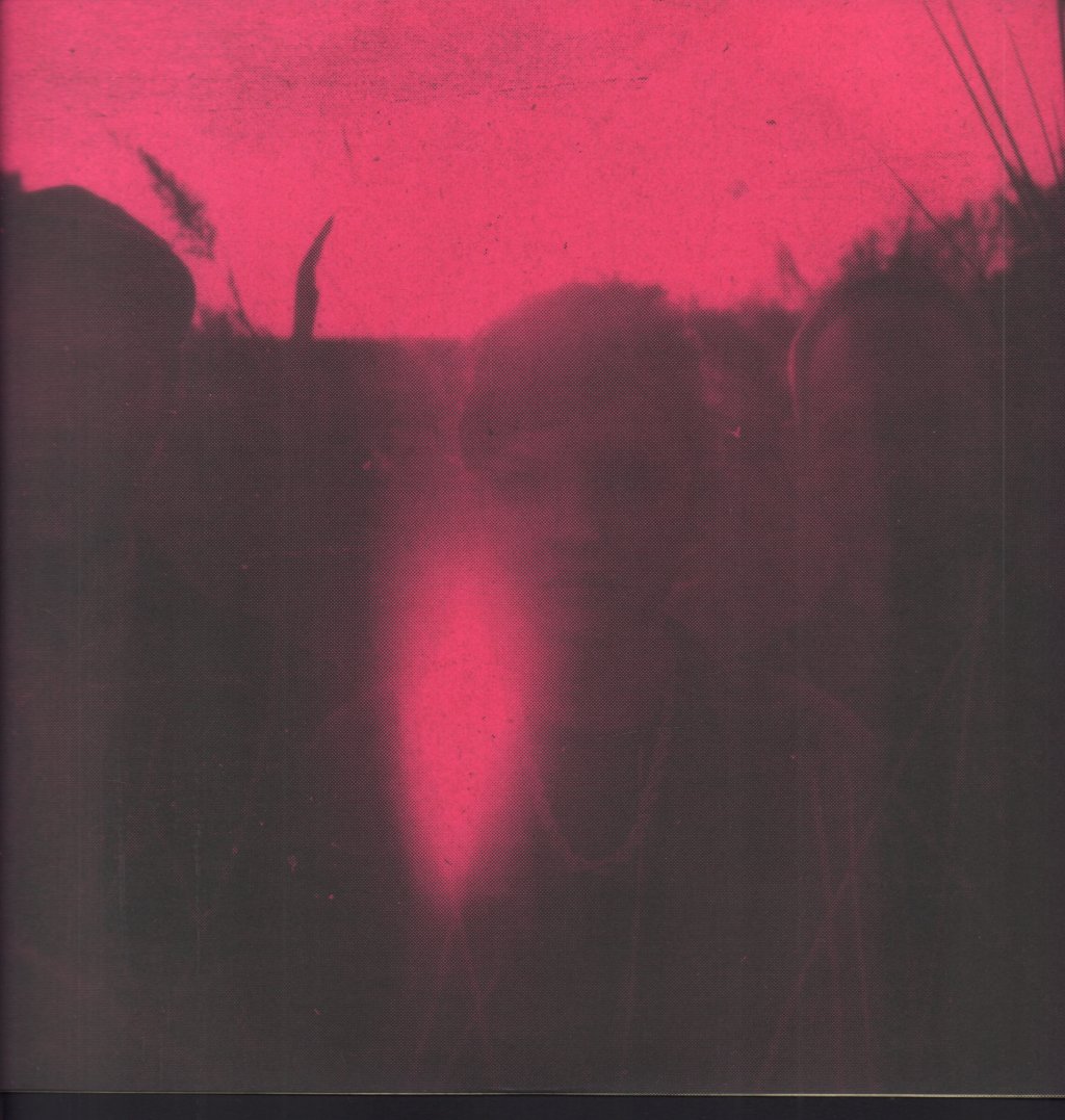 Chvrches - Bones Of What You Believe - Lp