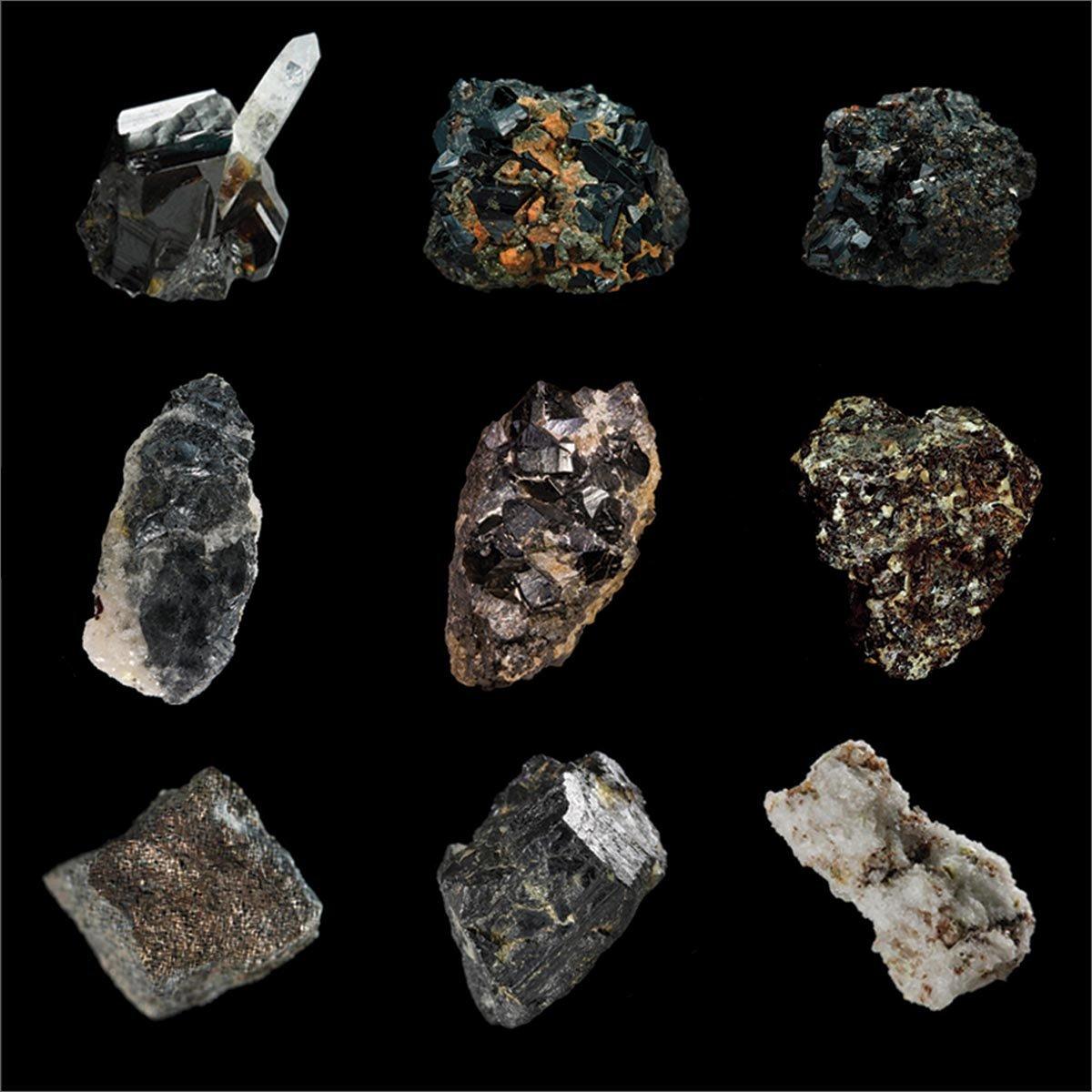 Verma - Coltan - Lp