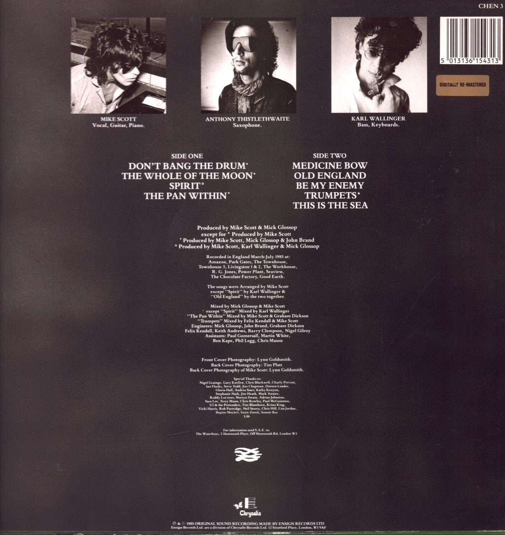 Waterboys - This Is The Sea - Lp