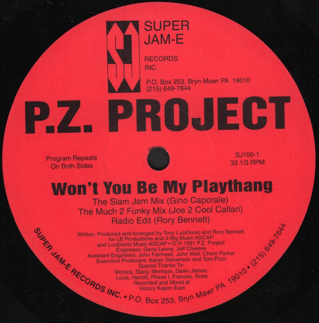 P.Z. Project - Won't You Be My Playthang - 12 Inch