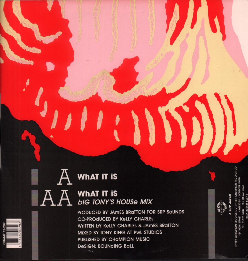 Where's The Fire - What It Is - 12 Inch