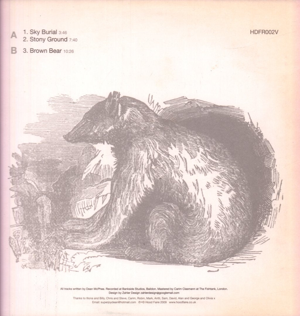Dean McPhee - Brown Bear - 12 Inch