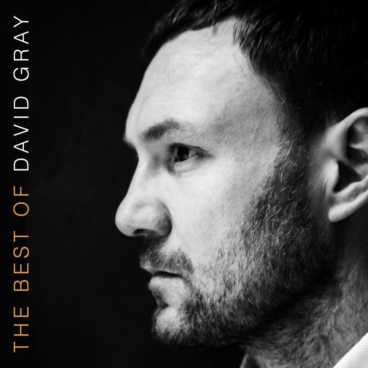 David Gray - Best of David Gray - Double Lp