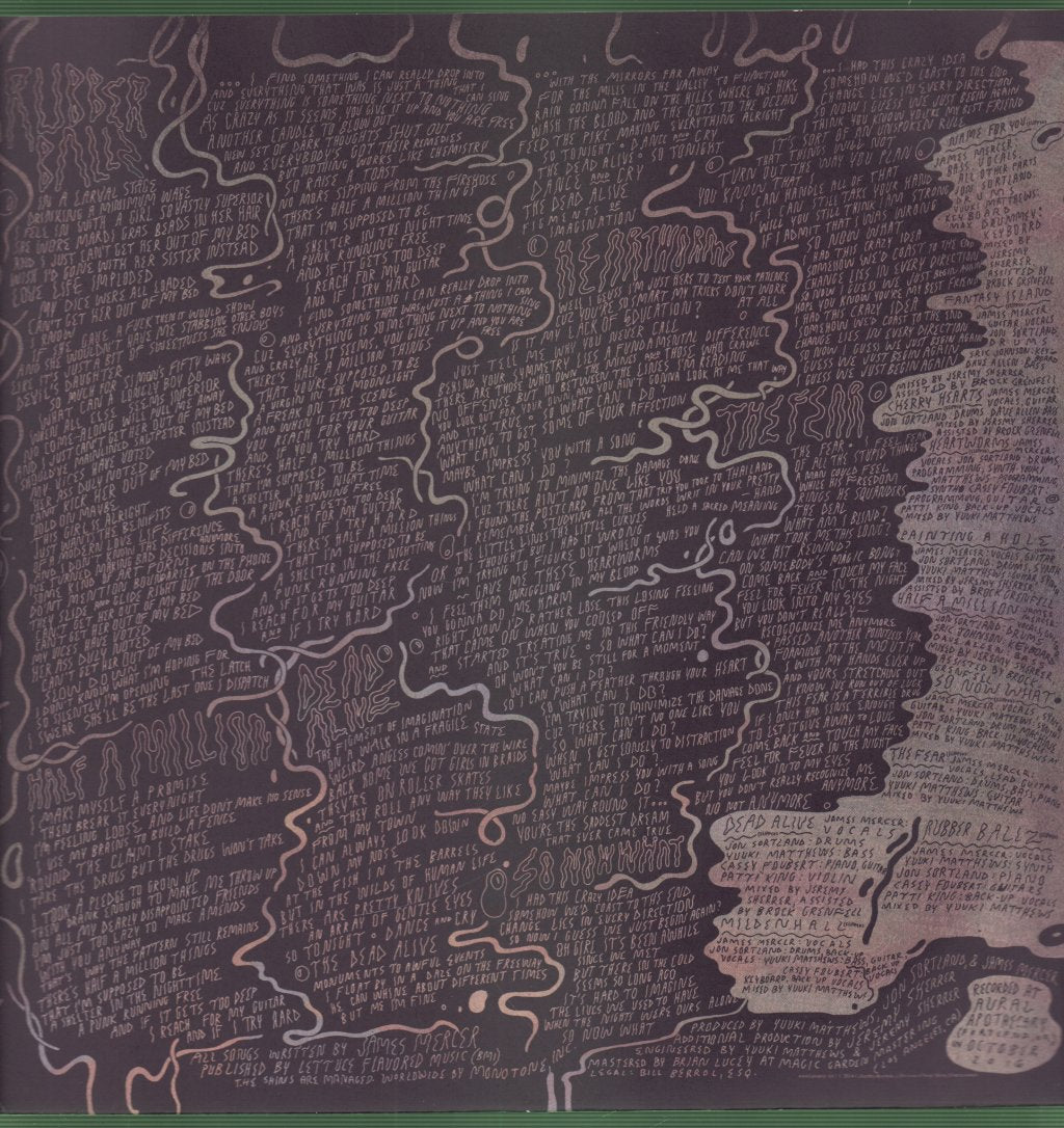 Shins - Worms Heart - Lp